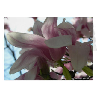 Envoyer mon amour avec des fleurs