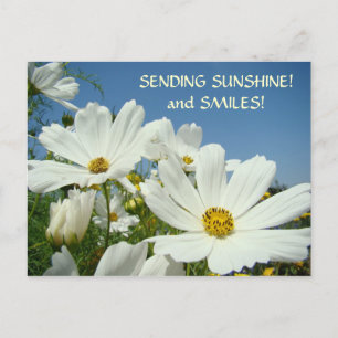 ENVOYER SUNSHINE & Smiles! Valentines de carte pos