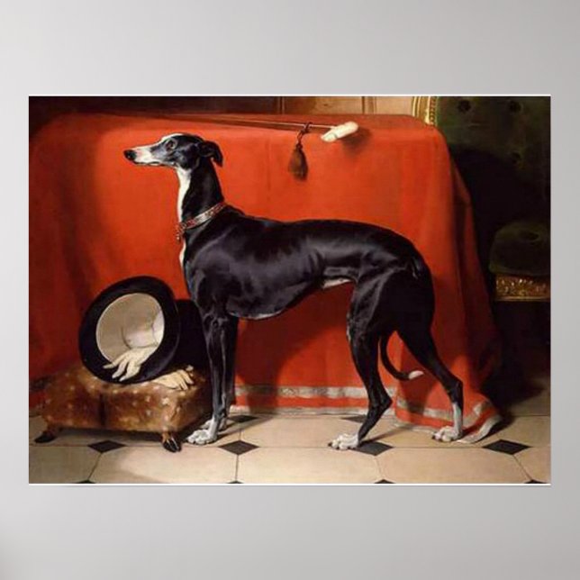 Eos, ein Lieblings-Greyhound von Prinz Albert Poster (Vorne)