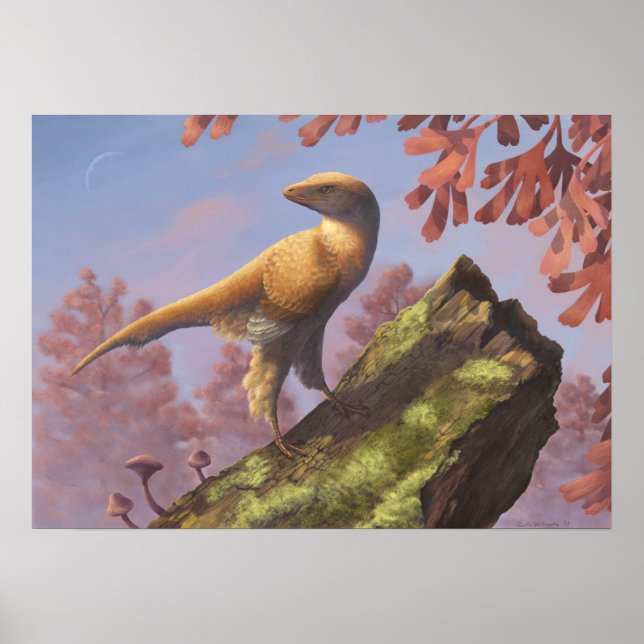Eosinopteryx Print Poster (Vorne)