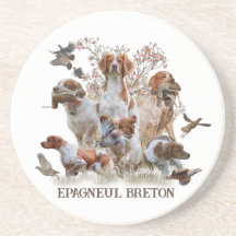 Epagneul Breton, Bretagne Spaniel