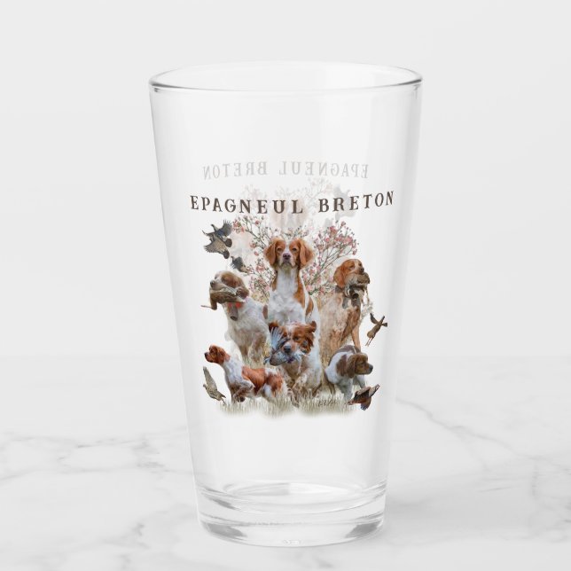Epagneul Breton, Bretagne Spaniel Glas (Vorderseite)