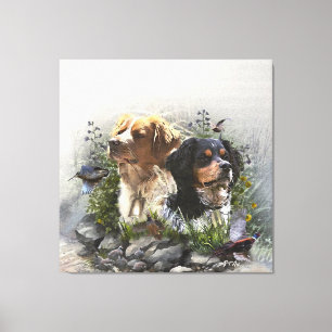 Epagneul Breton, Bretagne Spaniel Leinwanddruck