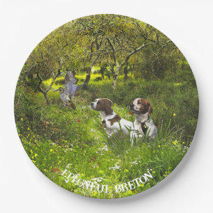 Epagneul Breton, Bretagne Spaniel Pappteller