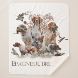 Epagneul Breton, Bretagne Spaniel Sherpadecke