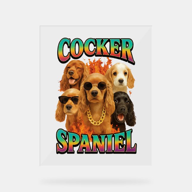 Épagneul Cocker  (Recto)