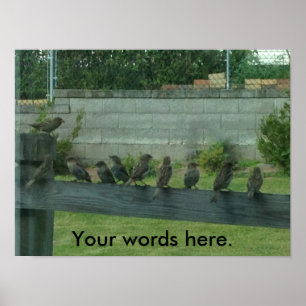 Éperons Oiseaux sur un rail Vos mots Affiches