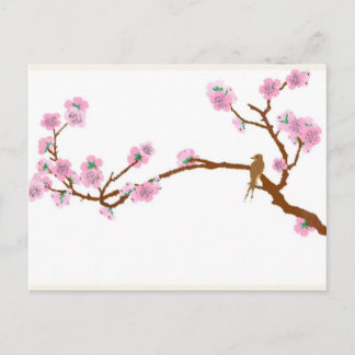 Épervier sur l'arbre 4 - Carte postale