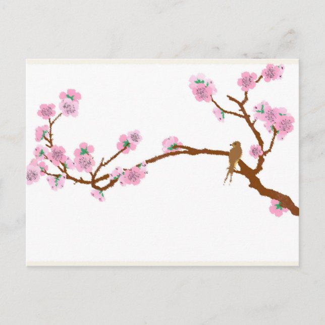 Épervier sur l'arbre 4 - Carte postale (Devant)