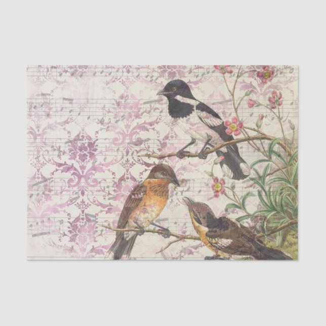Ephemera Birds and Music Seidenpapier (Vorderseite)