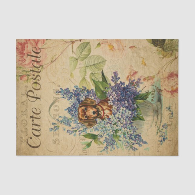 Ephemera Dackel Hunde Körbe Blume Entdeckungsseite Seidenpapier (Vorderseite)