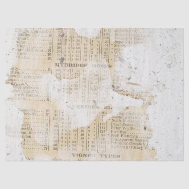 Ephemera Distressed Paper Series Design 3 Seidenpapier (Vorderseite)