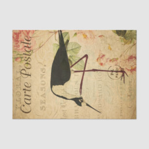 Ephemera French Postcard Avocet Bird Decoupage Seidenpapier