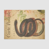 Ephemera French Postcard Black Snake Decoupage
