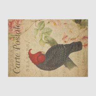 Ephemera French Postcard Ganga Cockatoo Decoupage Seidenpapier