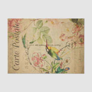Ephemera French Postcard Kingfisher Bird Decoupage Seidenpapier