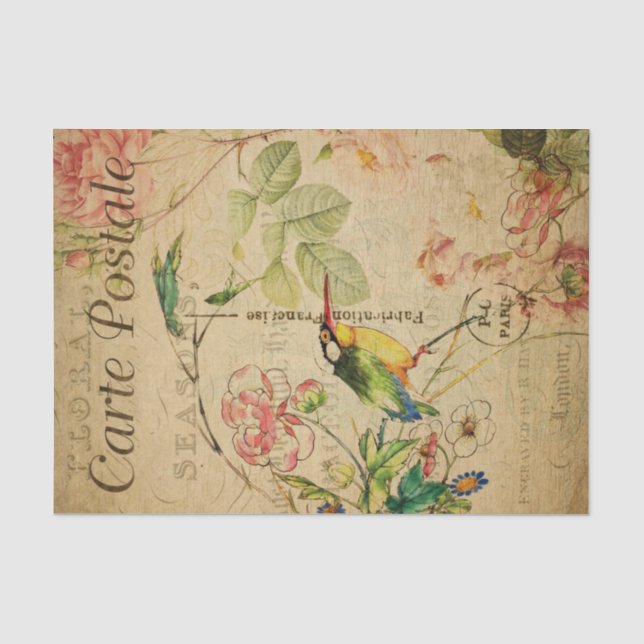 Ephemera French Postcard Kingfisher Bird Decoupage Seidenpapier (Vorderseite)