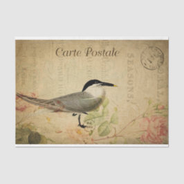 Ephemera French Postcard Niedlich Bird Decoupage Seidenpapier