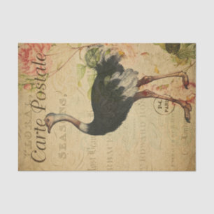 Ephemera French Postcard Ostrich Decoupage Seidenpapier