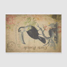 Ephemera French Postcard Toucan Bird Decoupage Seidenpapier