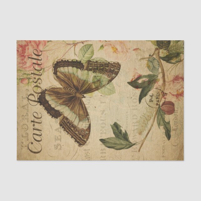 Ephemera Painting Butterfly Raupe Decoupage Seidenpapier (Vorderseite)