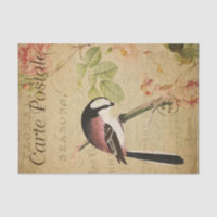 Ephemera Tit Bird Pink Roses Decoupage