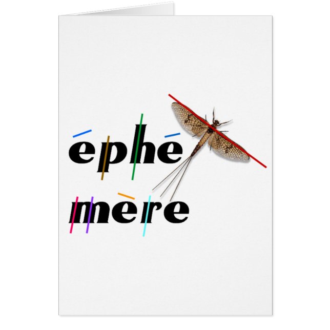 éphémère (Devant)