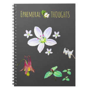 Ephemerials Thoughts Blank Notebook Notizblock