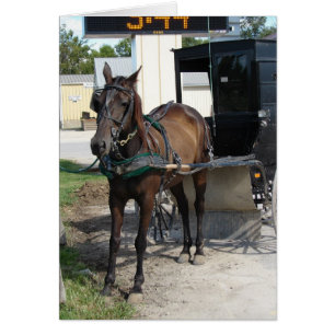 Épicerie Amish cheval et buggy