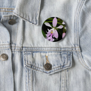 Epidendrum caligarium button
