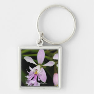 Epidendrum caligarium schlüsselanhänger