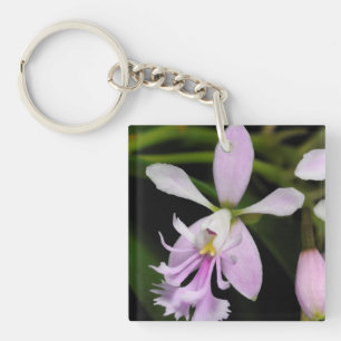 Epidendrum caligarium schlüsselanhänger