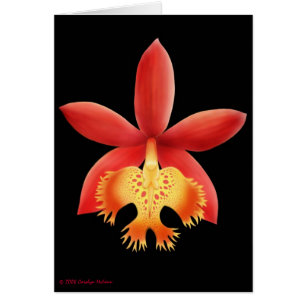 Epidendrum-Orchideen-Blumen-Karte