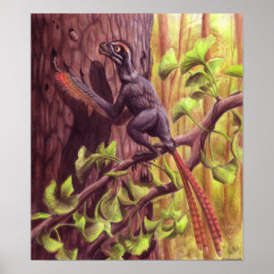 Epidexipteryx Poster