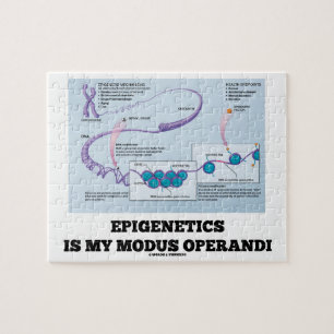 Epigenetics ist mein Modus operandi (Mechanismen)