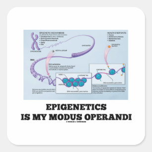 Epigenetik ist mein Modus Operandi (Mechanismen) Quadratischer Aufkleber