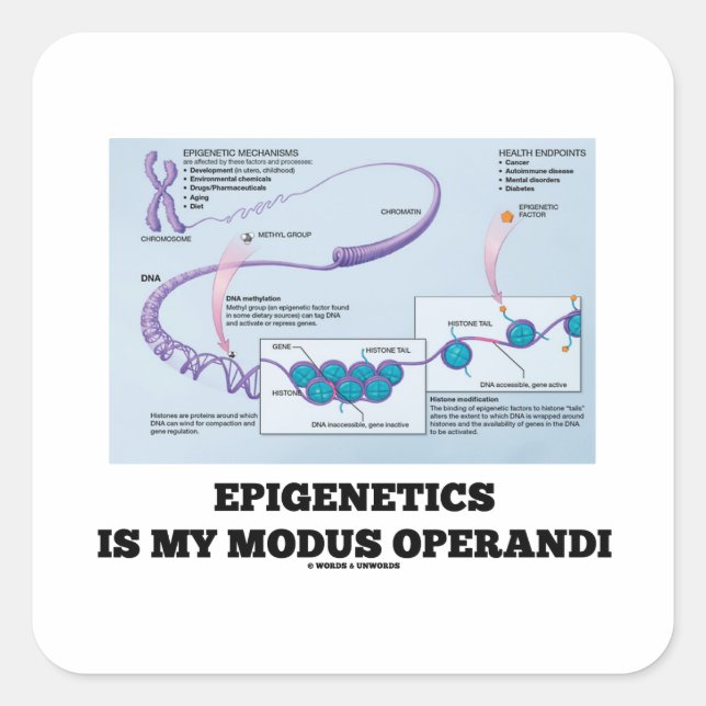 Epigenetik ist mein Modus Operandi (Mechanismen) Quadratischer Aufkleber (Vorderseite)