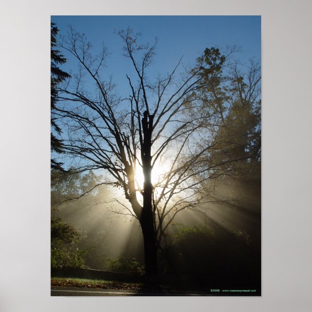 Epiphany Tree Poster (Vorne)