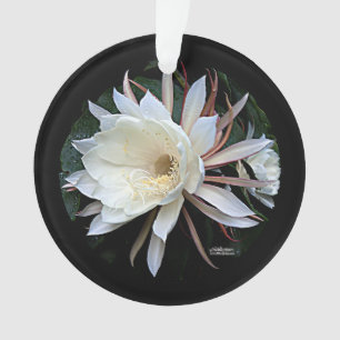 Epiphyte Cactus Blume Ornament