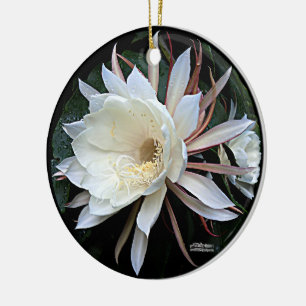 Epiphyten-Kaktus-Blüte Keramik Ornament