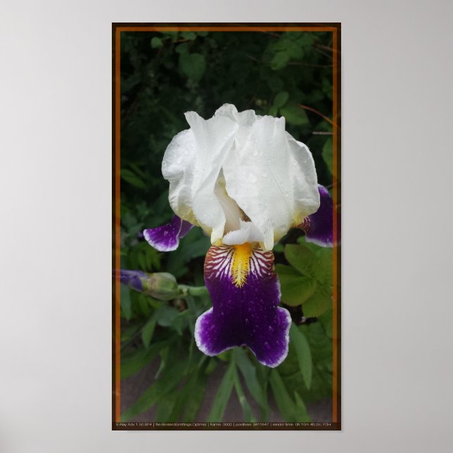 Epische Blume 3 Poster (Vorne)