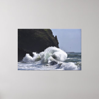 Epische Waves auf Cape Enttäuschung WA Staat Leinwanddruck