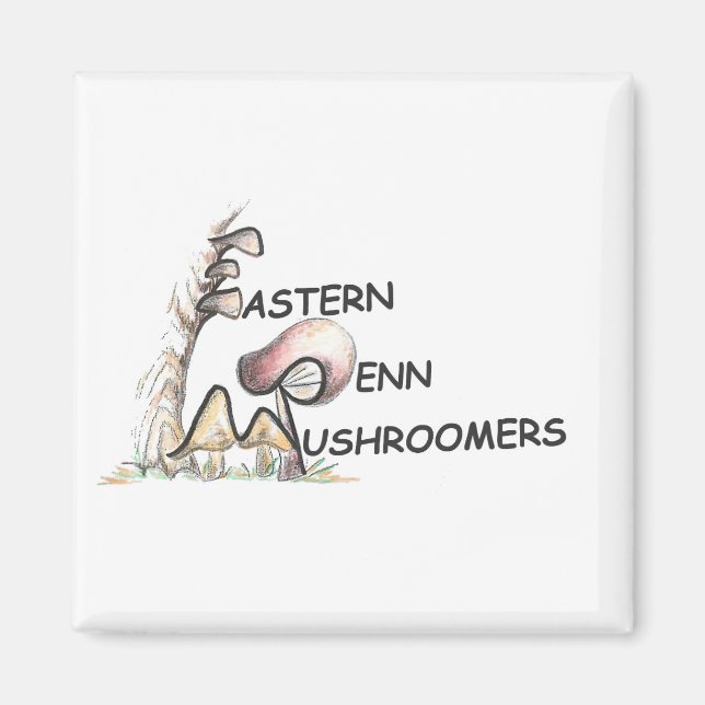 EPM Logo-Magnet Magnet (Vorne)