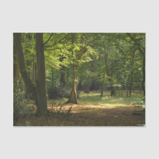 Epping Wald Seidenpapier