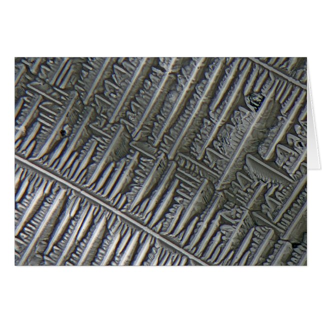 Epsomite unter dem Mikroskop (Vorderseite (Horizontal))