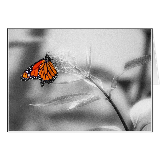 Équilibre sensible (Devant horizontal)