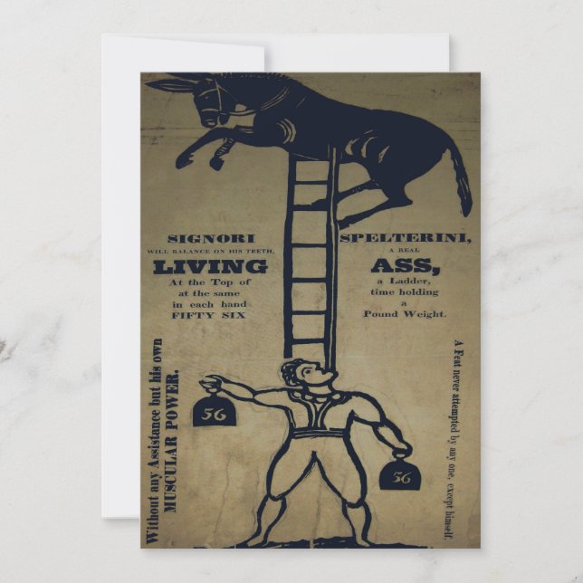 Équilibrer un âne vivant ~ Invitations (Devant)