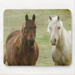Equine Buddies Mousepad