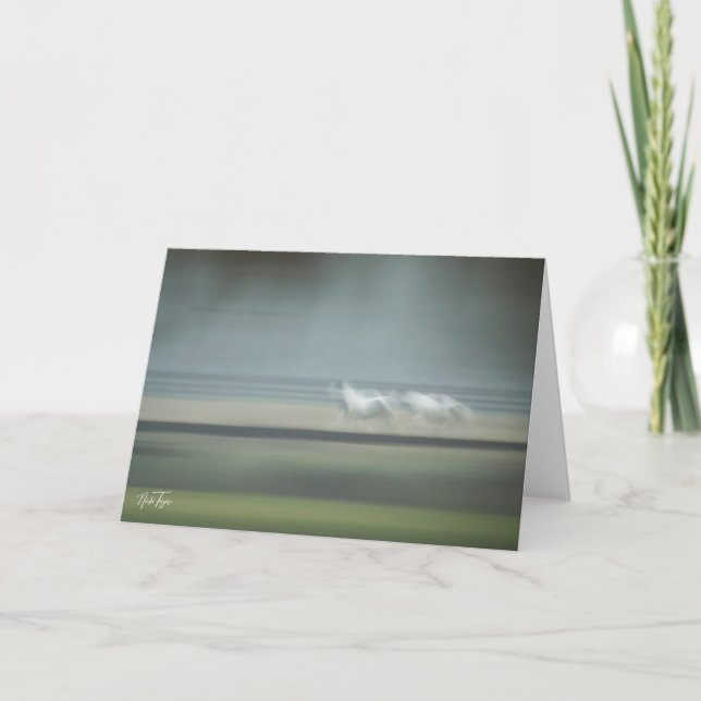 Equine Illusions Notes-Karte Dankeskarte (Vorderseite)