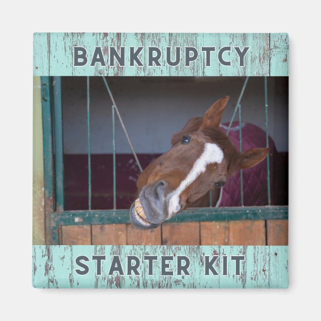 Equine Liebe: Konkursstarter Kit Magnet (Vorne)